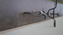 Images 2