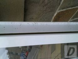 Images 2