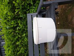 Images 1