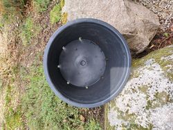 Images 1