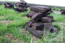 Images 0