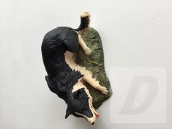 Images 0
