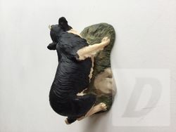 Images 2