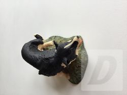 Images 3
