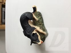 Images 4