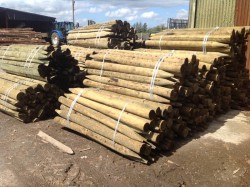 Treated fencing posts 