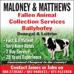Maloney & Matthews 