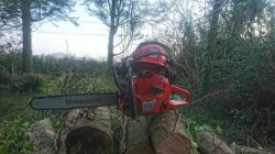 Experienced Groundsman/Chainsaw Operator. 