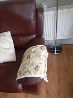 Sofa arm covers 