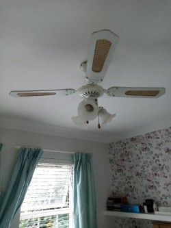 Ceiling fan. 
