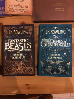 Harry Potter & JK Rowling Books 
