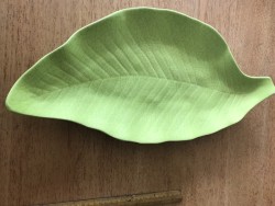 Sofal leaf pottery 