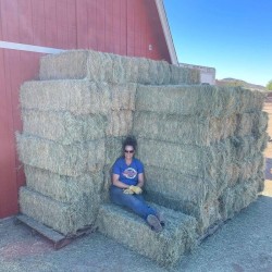 Hay available  
