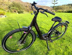 Ladies Electric Bike for sale