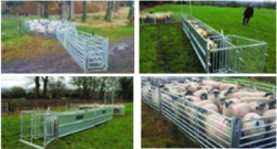 Mobile Sheep Handling System 