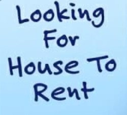 house to rent needed 