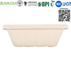 Wholesale China 500ML 700ML 850ML 1000ML Compostable Bagasse Bento Box with Lid 