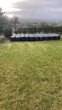 Round Bales for sale  