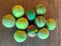 Used Tennis Balls 