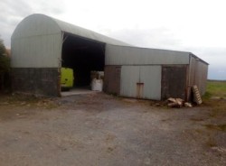Shed doors for sale  