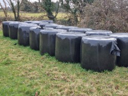 Round bales of Silage / Haylage 