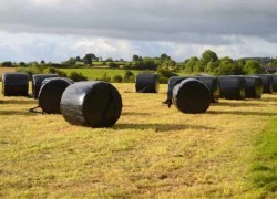 ROUND BALES OF HAYLAGE SILO 