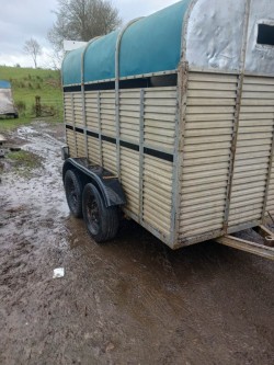 Porter 8x5 livestock trailer 