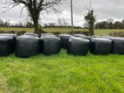 20 Round Bales for sale (double wrapped) @ £25 Each 