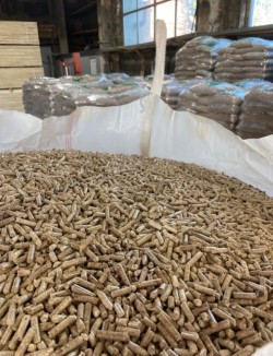 Best quality wood pellets 