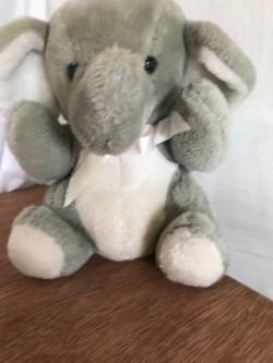 Soft Grey Elephant  