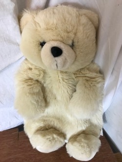 Soft Cream Bear Pyjamas/Nightie Case 