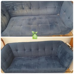 Professional Upholstery Cleaning  