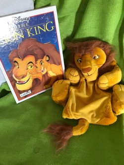 The Lion King Book and Pyjamas/Nightie case 
