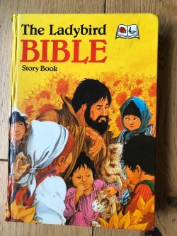 The Ladybird  Bible Story Book 