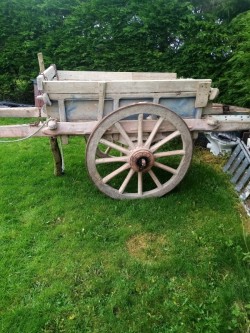 Horse cart 
