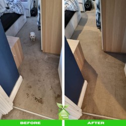 Professional Carpet Cleaning By Happy Clean Team  