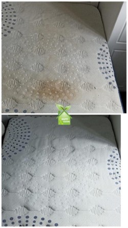 Professional Mattress Cleaning  