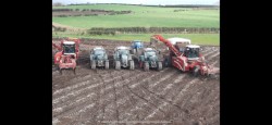Farmworker/tractor driver 