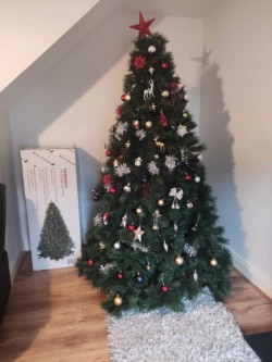   Christmas tree 