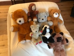 Seven pre-loved assorted Teddy bears 