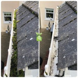 Professional Gutter Cleaning  