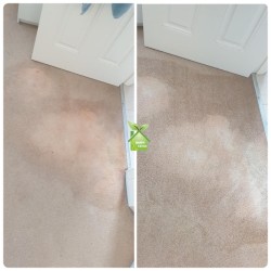 Professional Stain Removal  