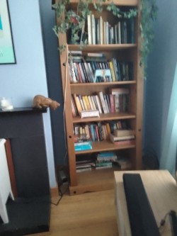 Large solid pine bookcase 
