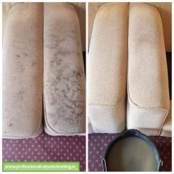 Professional Upholstery Cleaning  