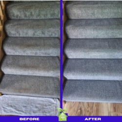 Professional Carpet Cleaning  