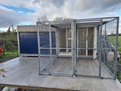 Dog Kennels for long term dog keep in Randalstown. 