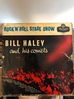Bill Haley and his Comets - Vinyl LP 