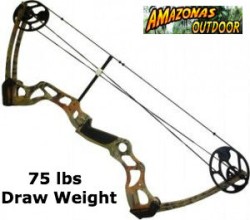 Stealth Hunter Compound Bow 