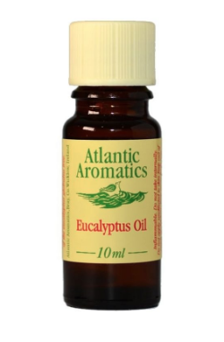 AA Eucalyptus Essential Oil 10ml 